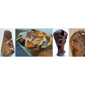 Frankenstein series Frankenstein series