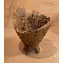 Walnut Conic Walnut Conic