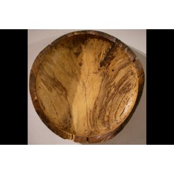 Portrait of a Tree #1 Portrait of a Tree #1