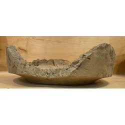 Portrait of a Tree #4 Portrait of a Tree #4