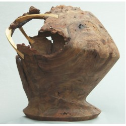 Have You Seen My Surgery?